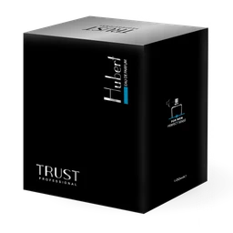 ادوپرفیوم مردانه تراست مدل Hubert